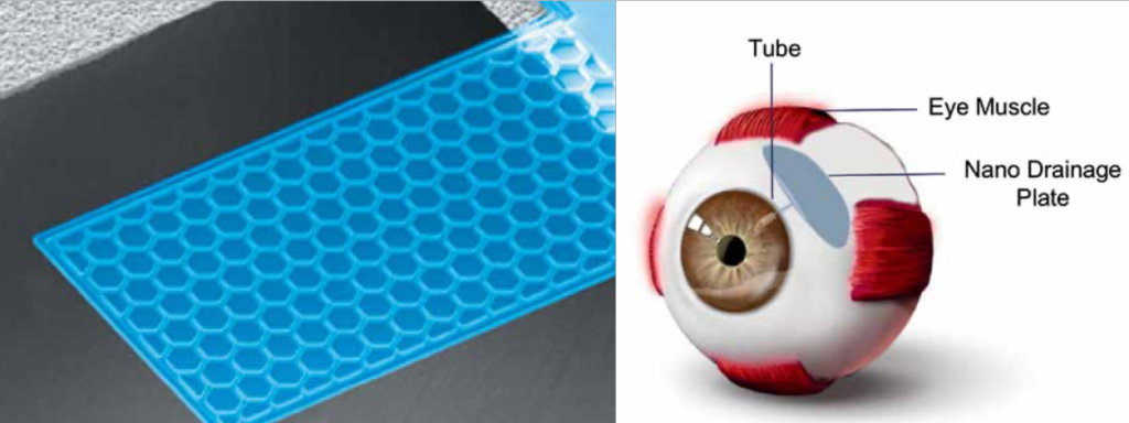 Visiplate microscope image and eyeball diagram