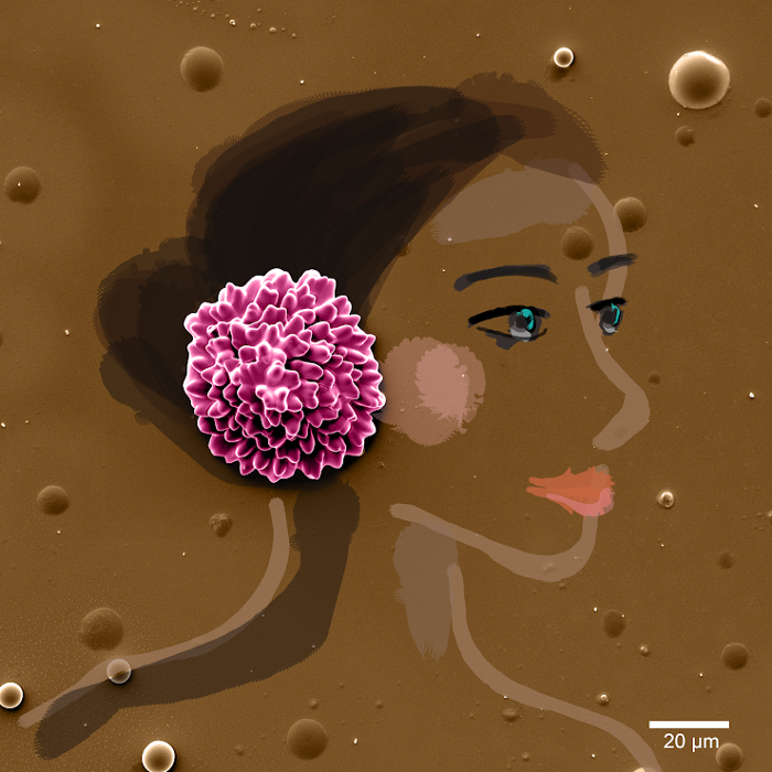 Illustration of woman with pink flower in hair. Flower is made from "liquid crystal flower"