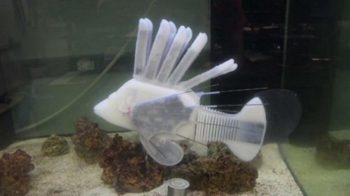 Robotic fish in water