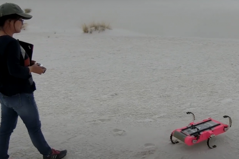 Feifei Qian and quad robot walking in desert