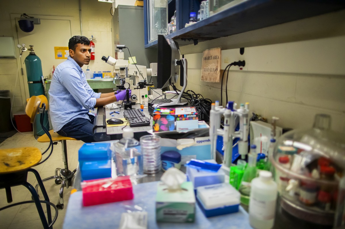 Sriram sits in front of a microscope on lab bench piled high with supplies.
