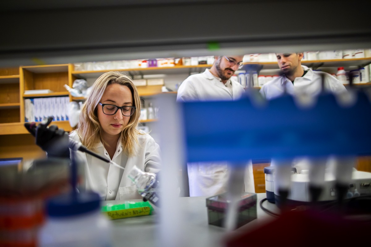 Postdoc Esther Broset pipettes at a bench.