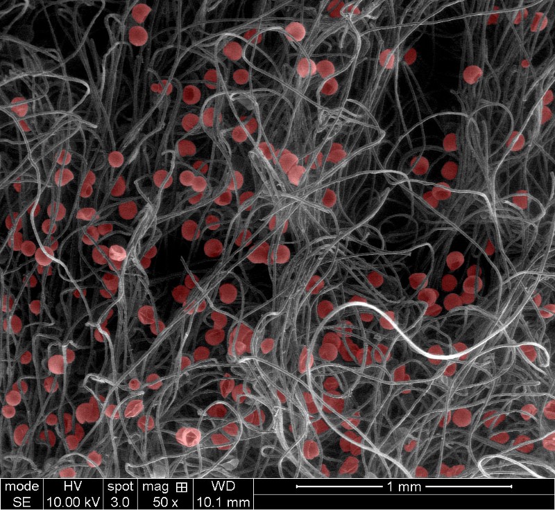 A micrograph of drug delivery particles, colored red, enmeshed in the fibers of a piece of gauze.