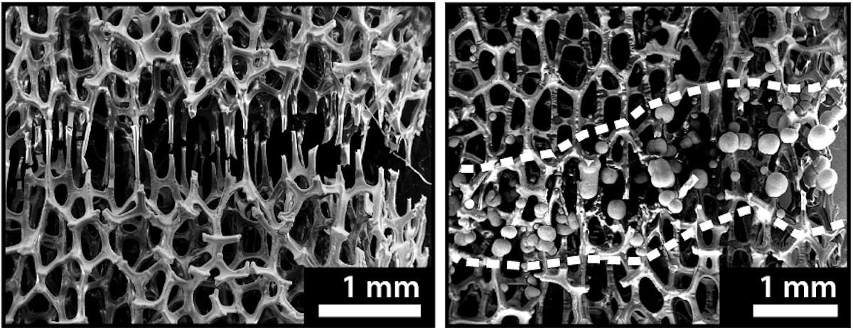 Before-and-after micrographs show broken struts of nickel foam, then globs of nickel holding those broken struts together.