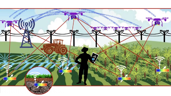 Illustration of crop field equipped with IoT sensors