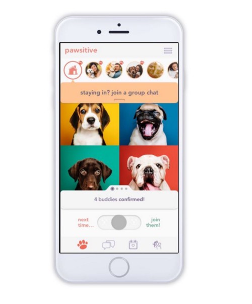 Image of smartphone with Pawsitive homepage on screen