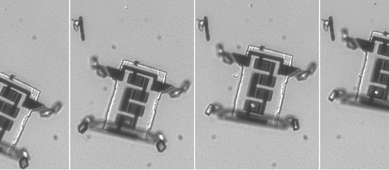 Frames of a video showing a microscopic robot walking