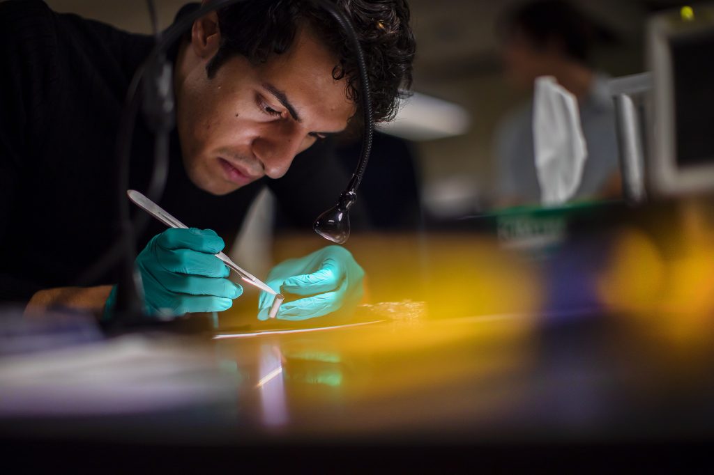 Mohsen Azadi trims material for a flyer using a scalpel.