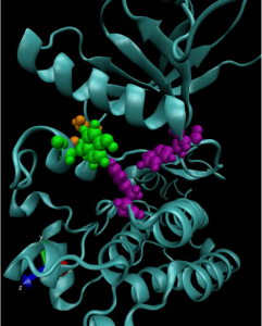 A computer model of a mutated ALK kinase 