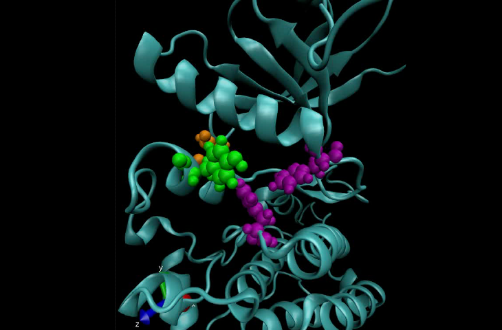 A computer model of a mutated kinase protein