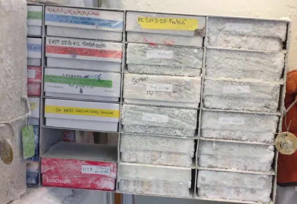 COVID Vaccines in a NIAID Lab Freezer