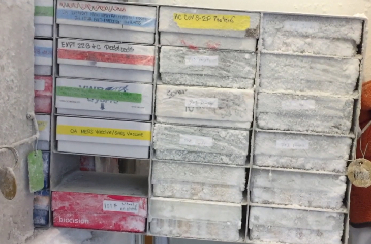 Vaccines in a freezer