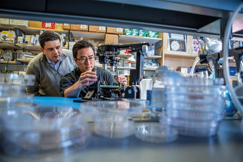 Dan Huh and Andrei Georgescu work in a lab.