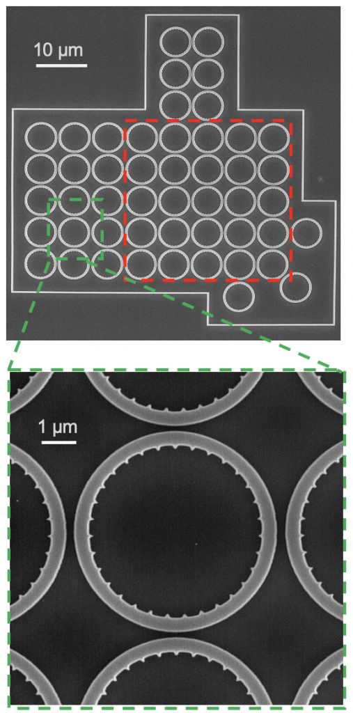 Microscope images of a supersymmetric laser array.