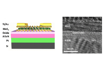 Illustration and electron microscope image of the researchers' FE-FET device.