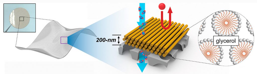 Illustration showing the structure of Osuji's nanofiltration membranes.