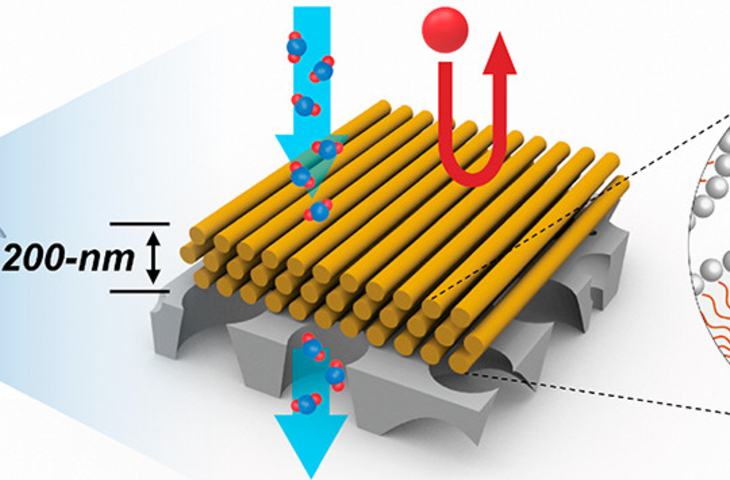 Illustration showing the structure of Osuji's nanofiltration membranes.