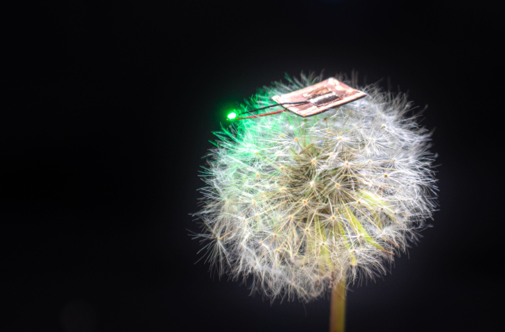 A thin microbattery powering a green LED rests atop a dandelion.