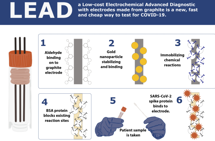 Inforgraphic showing how LEAD diagnostic systems are fabricated.