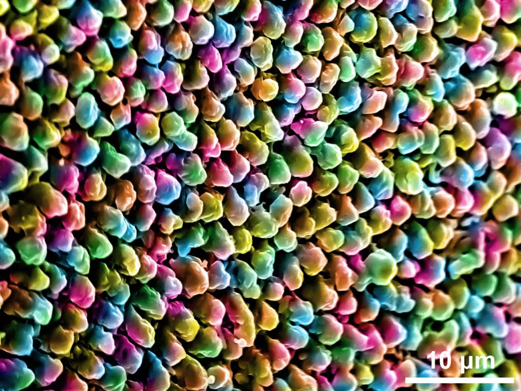 Colorful chunks of microscopic metal form an appealing pattern 