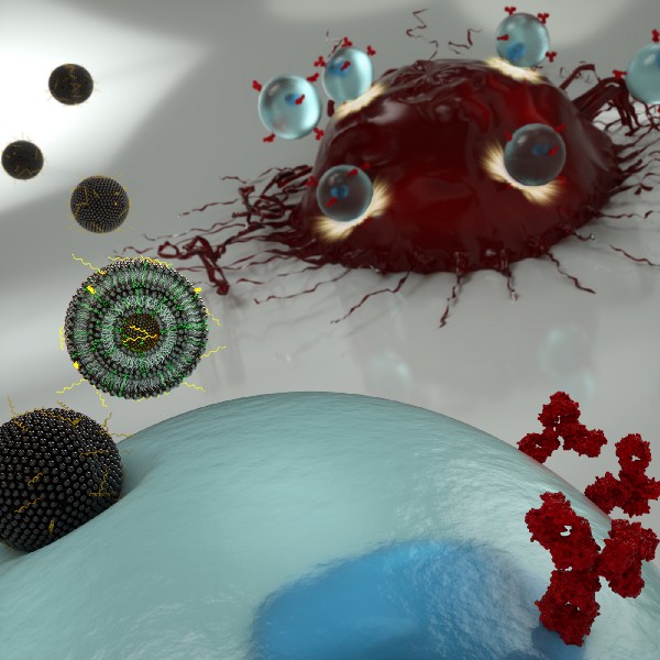 A digital illustration of a nanoparticle delivering mRNA to a T Cell.