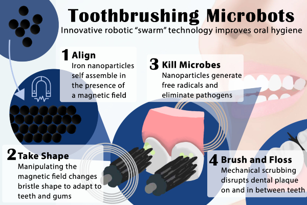 An inforgraphic showing how the researchers' brushing and flossing microrobots are shaped and controlled by an external magnetic field.