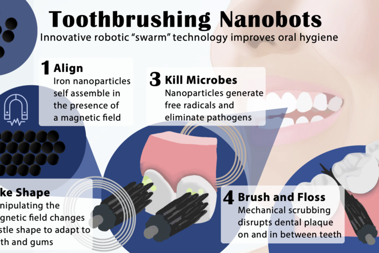 An inforgraphic showing how the researchers' brushing and flossing microrobots are shaped and controlled by an external magnetic field.