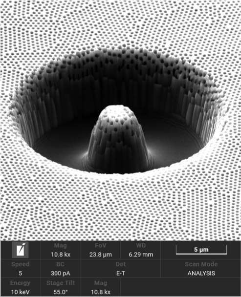 A black and white microscopic image that looks like a sombrero