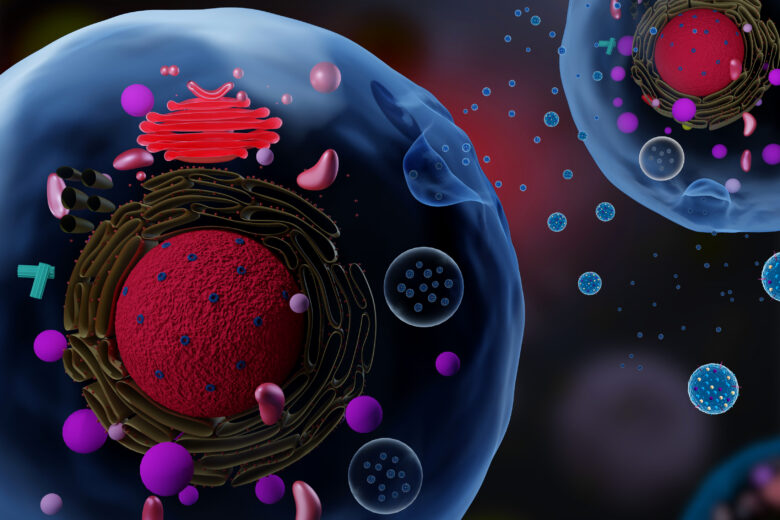 3d render of cells secreting exosomes