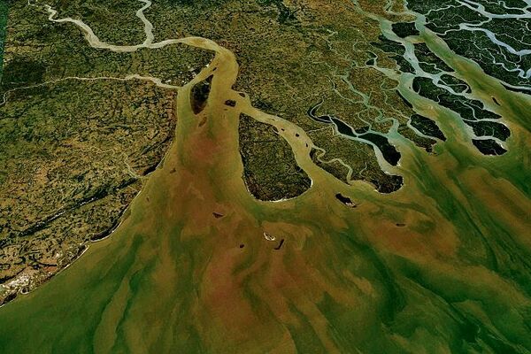 The Ganges River Delta