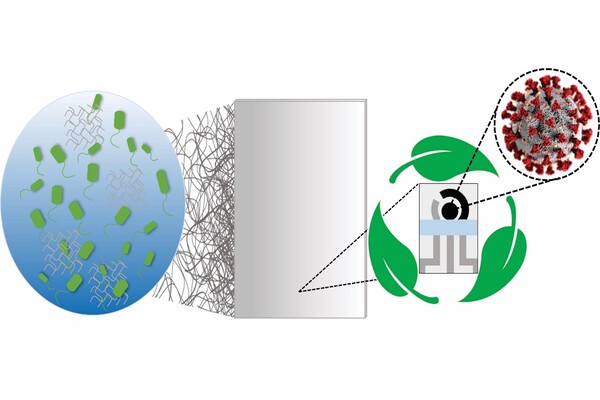 A biodegradable COVID test