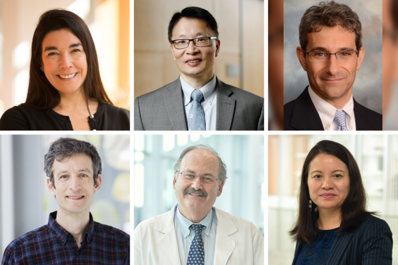 Penn’s new AAAS Fellows for 2024, clockwise from top left: Dolores Albarracín, T. Tony Cai, Noam A. Cohen, Shu Yang, Edward A. Stadtmauer, and Michael Lampson.
