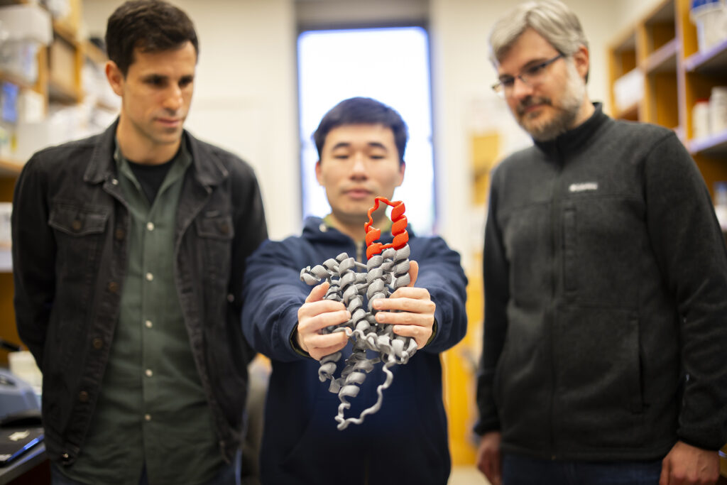 Three people looking at a 3D model representing antibiotics.
