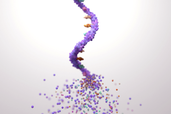 A strand of RNA assembling itself