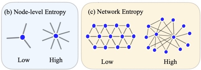 Diagram showing the difference between a network with high entropy and low entropy.