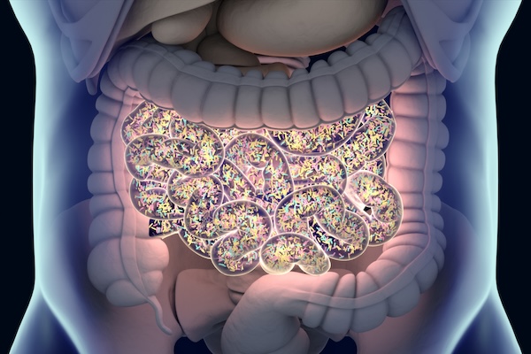 A rendering of the human intestines with bacteria outlined in bright colors.