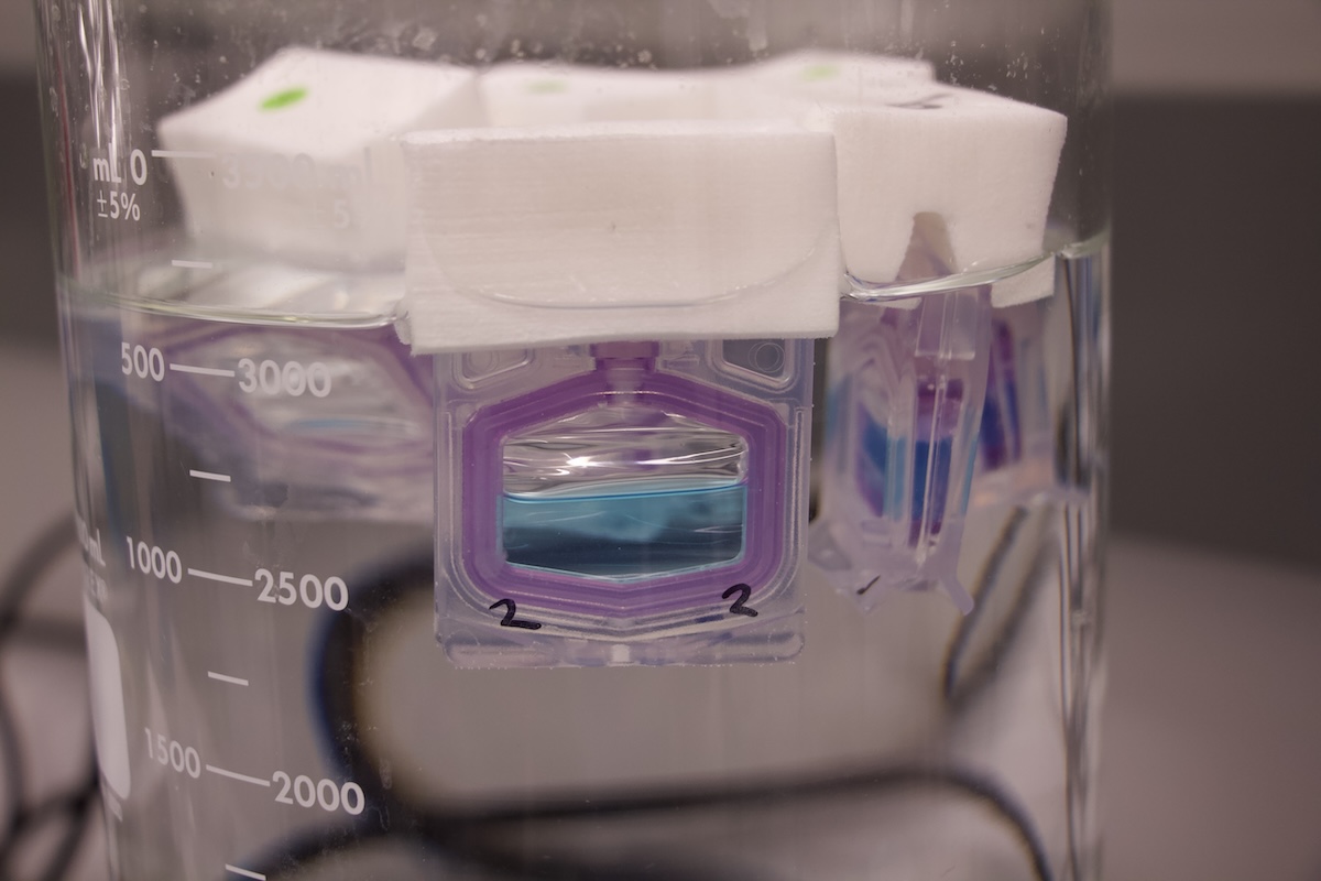 A plastic container with lipid nanoparticles in blue dye.