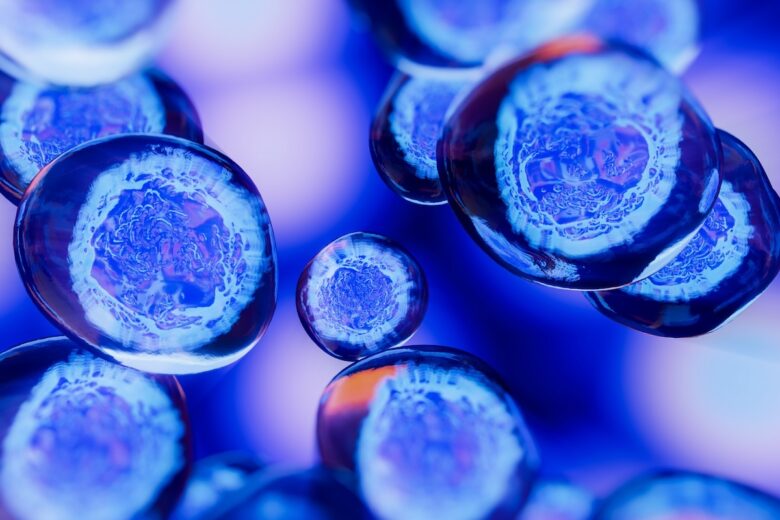 A microscopic image of cells stained blue.