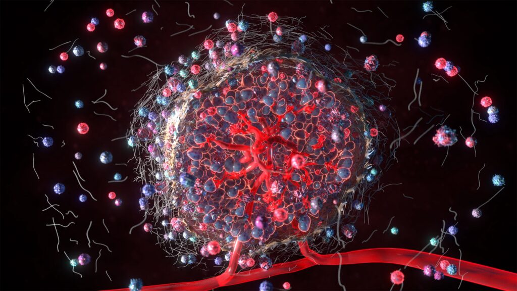 3D rendering of the tumor microenvironment