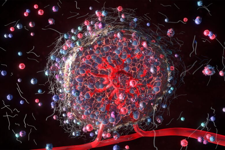 3D rendering of the tumor microenvironment