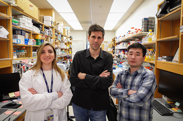 Professor Cesar de la Fuente and two of hos students in his lab.;