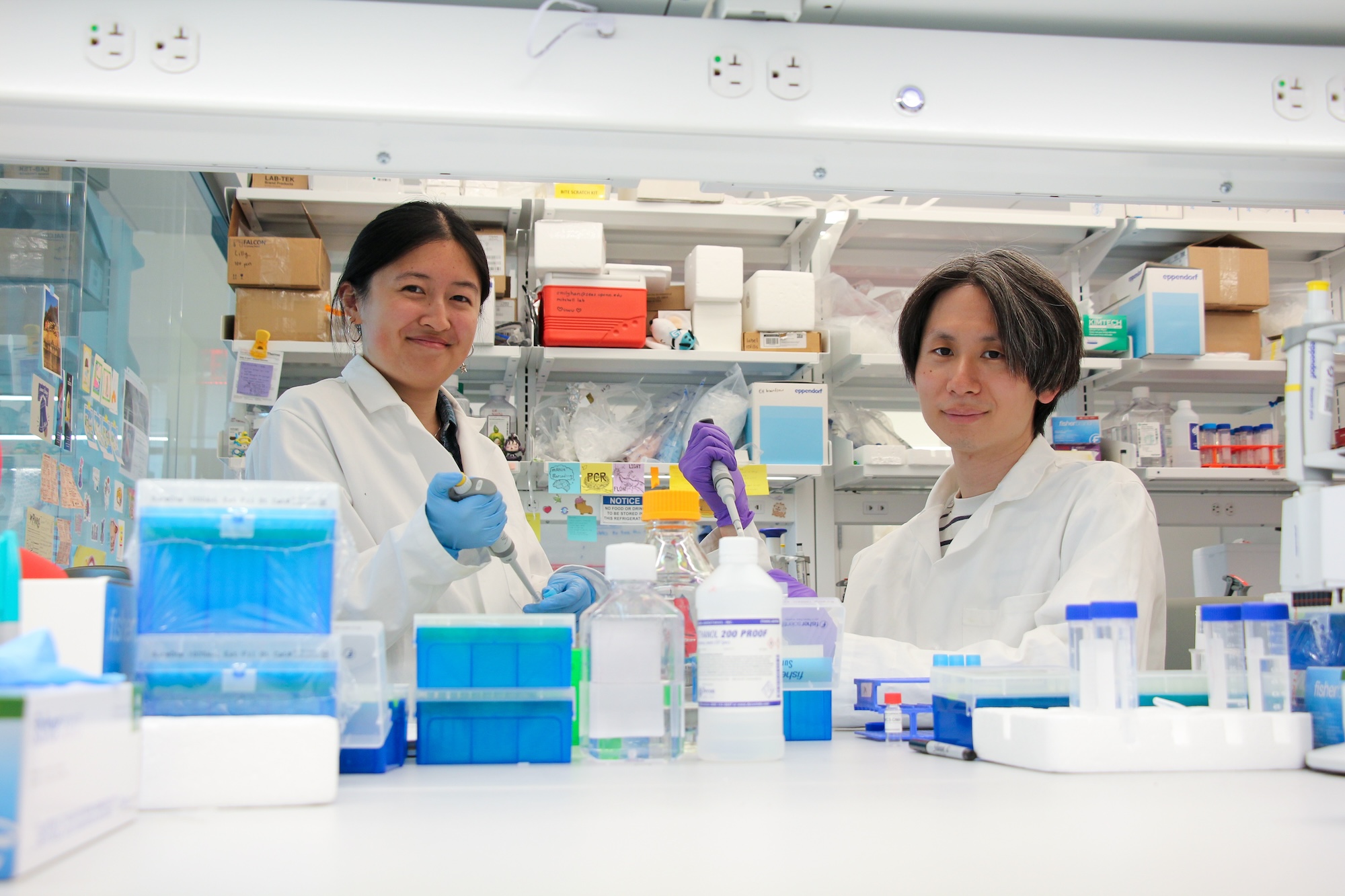 A woman and man in labcoats hold micropipettes at a lab bench.